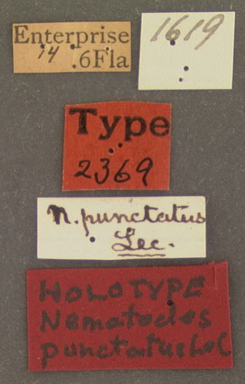 Media type: image;   Entomology 2369 Aspect: labels